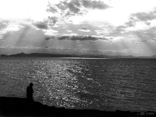 Beiruit72.gif (156795 bytes)