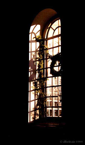 ChristmasWindow.jpg (40317 bytes)