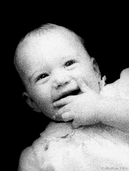 DawnaMcB.gif (194067 bytes)