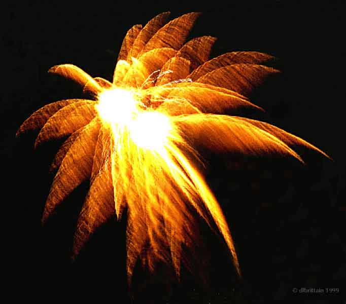 Fireworks4.jpg (73524 bytes)