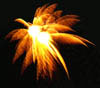Fireworks4Thumb.jpg (9353 bytes)