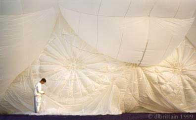 MissDaisy72.jpg (14549 bytes)