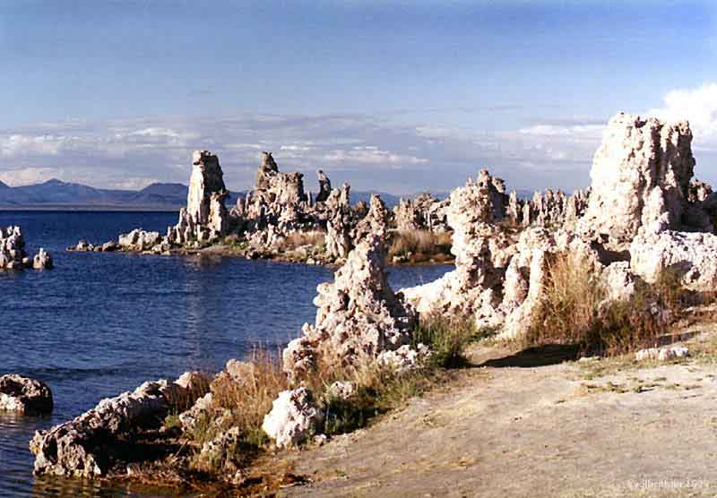 MonoLakeSpires.jpg (120526 bytes)