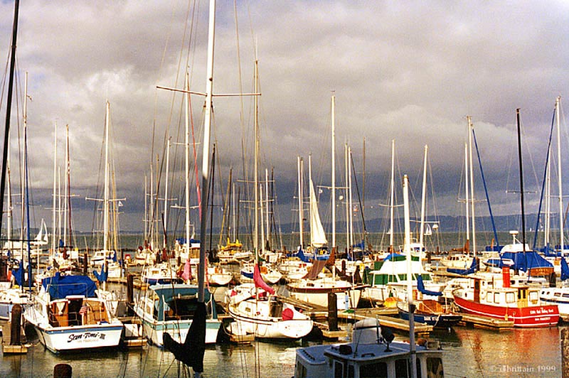 SafeHarbor.jpg (142432 bytes)