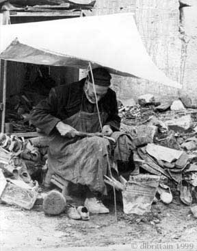 TurkShoe72.jpg (29802 bytes)